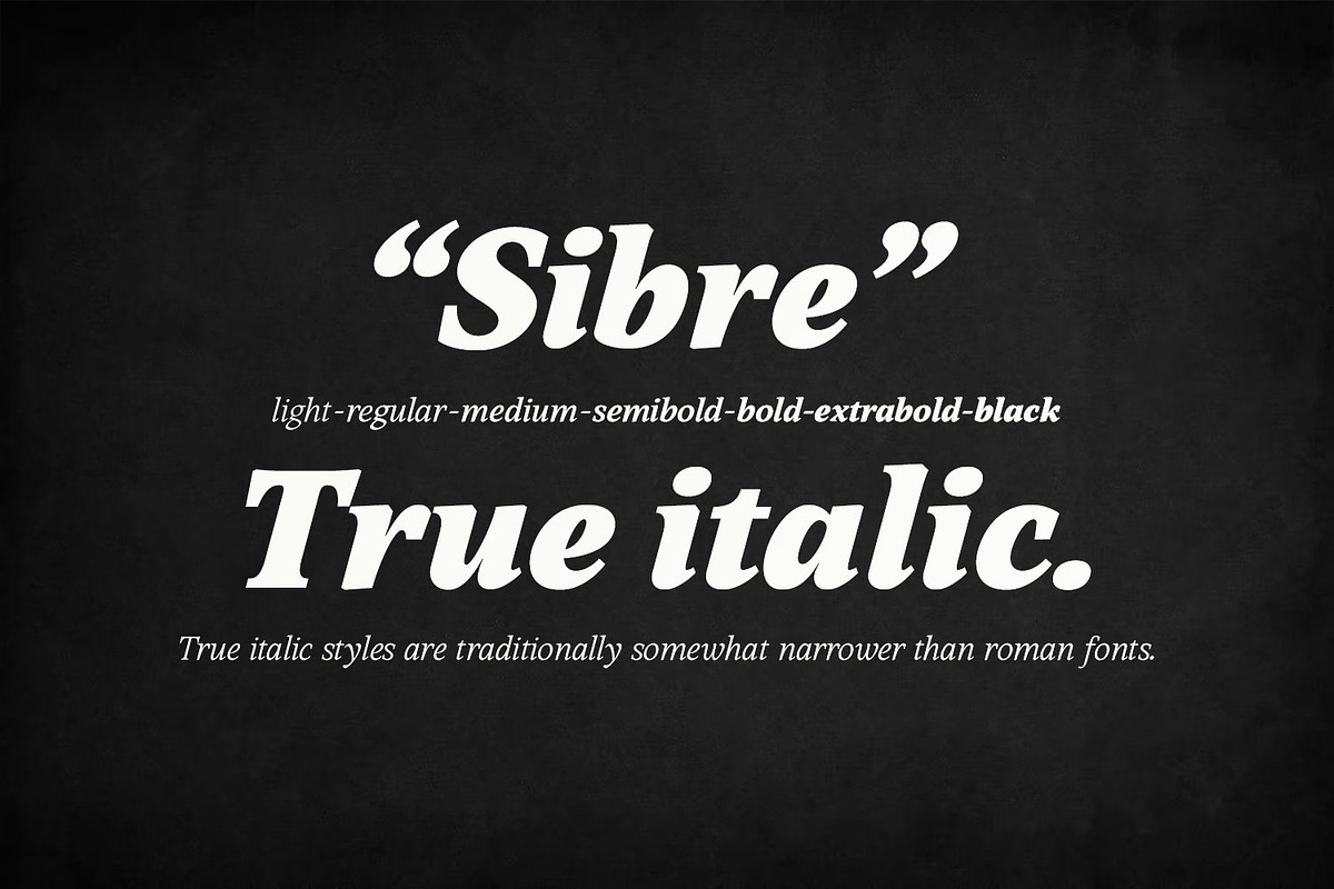 Sibre, a Serif Font by Ridha-38.lineart (Photo 4 of 11)