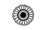 Daisy Flower, an Object Graphic by Creativeshirt (Thumbnail 3 of 5)
