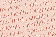 South Amsterdam - Modern Serif, a Serif Font by Megi Satyo Widodo (Thumbnail 2 of 19)