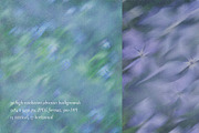 Caelum - Botanical Backgrounds, a Texture Graphic by Watercolor_Ma (Thumbnail 8 of 9)