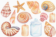 Watercolor Seashells, an Illustration by Irina Diasli (Thumbnail 3 of 9)
