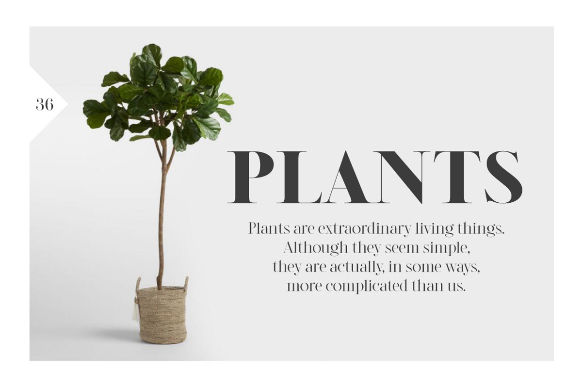 Legatum font family (5 fonts), a Serif Font by Fontop (Photo 13 of 16)