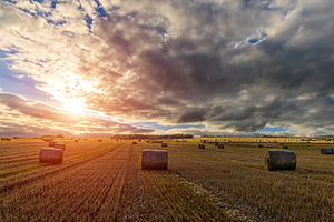 Hay bales in an agricultural field during sunset. Rural landscap, a Nature Photo by Eugene_Photo