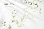 Light green, Greenery watercolor, a Texture Illustration by ollalya (Thumbnail 2 of 17)