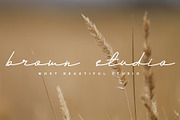 Andalusia a Beautiful Script Font, a Script Font by Lettertype Studio (Thumbnail 13 of 19)