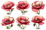Whimsical Spring Poppy Flowers Clipa, an Illustration by Daily.Designs (Thumbnail 7 of 8)