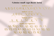 Calmius Extra Light, a Serif Font by NREY (Thumbnail 10 of 11)