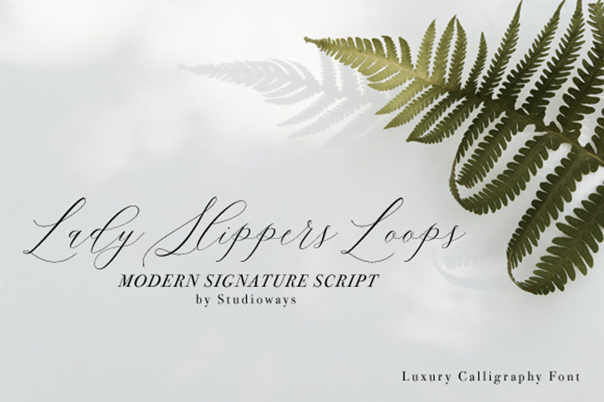 Lady Slippers Loops, a Script Font by STUDIOWAYS (Photo 1 of 6)