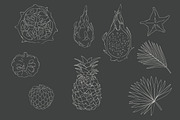 Vector tropical patterns set., a Pattern Graphic by Little A (Aigul) (Thumbnail 2 of 5)