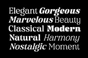 Chiefland Variable - 6 Weight Style, a Serif Font by Letterhend Studio (Thumbnail 2 of 14)