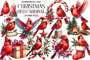 Red Cardinal Christmas Clipart, an Illustration by Daily.Designs