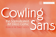 Cowling Sans AOE, a Sans Serif Font by Astigmatic (Thumbnail 1 of 5)