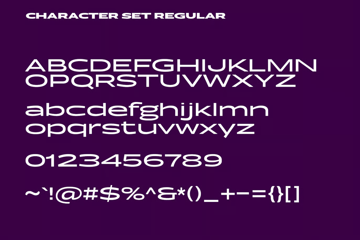 Hogly Extended Sans Serif Font, a Sans Serif Font by MACK 75 (Photo 7 of 10)