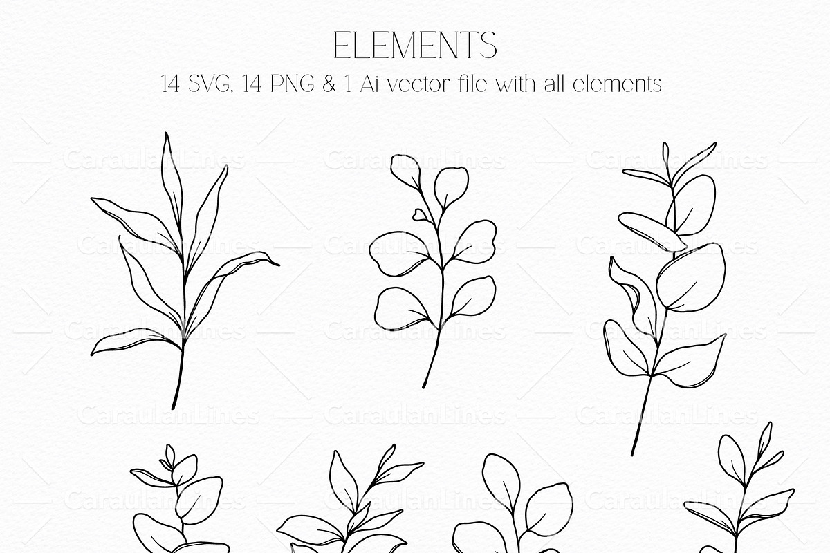 Eucalyptus Greenery Line Art, an Object Graphic by CaraulanStore (Photo 2 of 7)