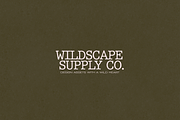 TypeWorn Typewriter-style Font, a Serif Font by gafaroff studio (Thumbnail 3 of 6)