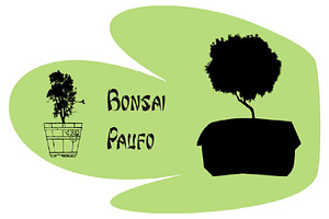 Bonsai Paufo