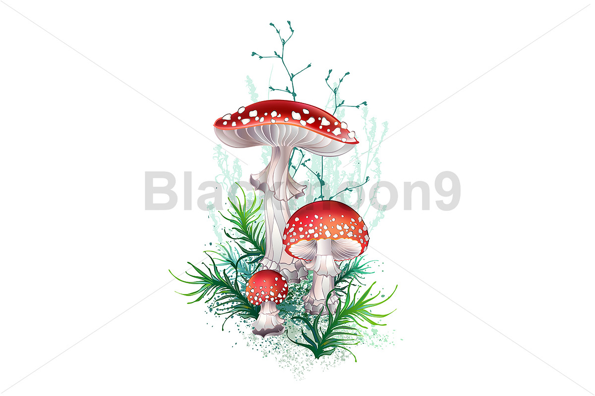 Fly agaric composition, a Decorative Illustration by blackmoon9
