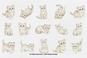 15 Bundle Watercolor White Kitten, an Animal Illustration by Morspective (Thumbnail 8 of 8)