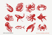 Aquatic Fauna Graphic Collection, an Object Graphic by Irhasalfahad (Thumbnail 3 of 6)