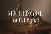 Hegelia, a Serif Font by Kenrichi (Thumbnail 7 of 10)