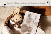 Forest animals collection, an Animal Illustration by Natalia Tugova (Thumbnail 11 of 13)
