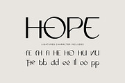 Hadrick Queen - Aesthetic Font, a Sans Serif Font by Fype Co. (Thumbnail 4 of 5)