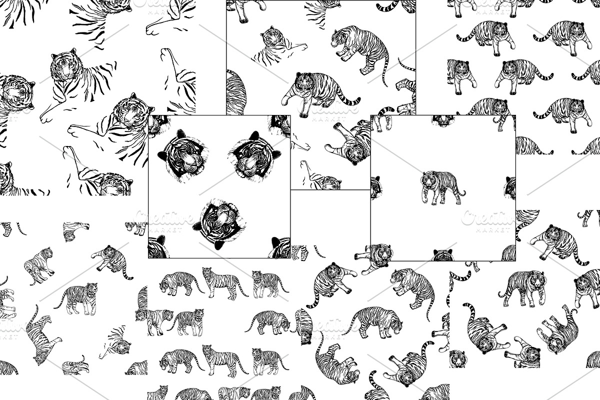Tigers, an Animal Illustration by Ecaterina Sciuchina (Photo 4 of 5)