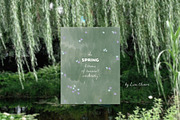 Hand-Painted Spring Backgrounds, a Background Graphic by Lana Elanor (Thumbnail 3 of 15)