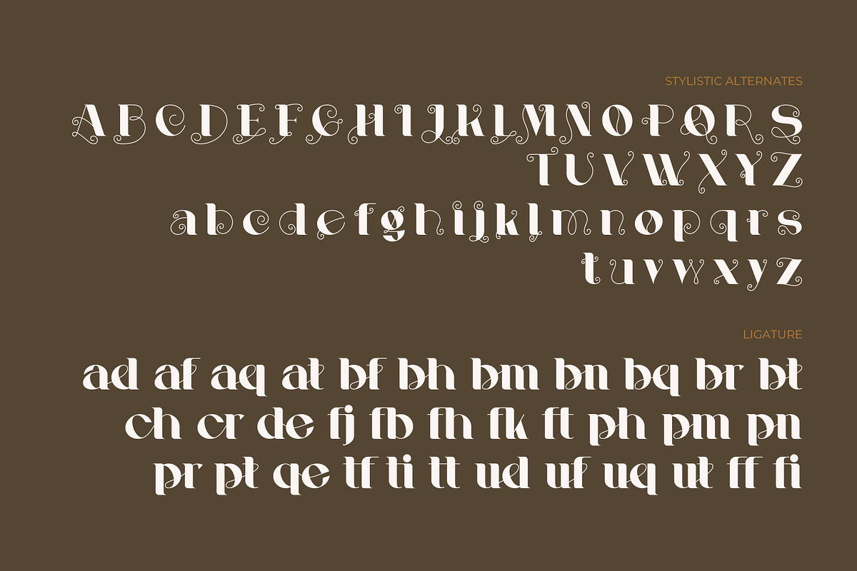 Abrelight | Modern Classic Serif, a Serif Font by Kahade Studio (Photo 12 of 13)