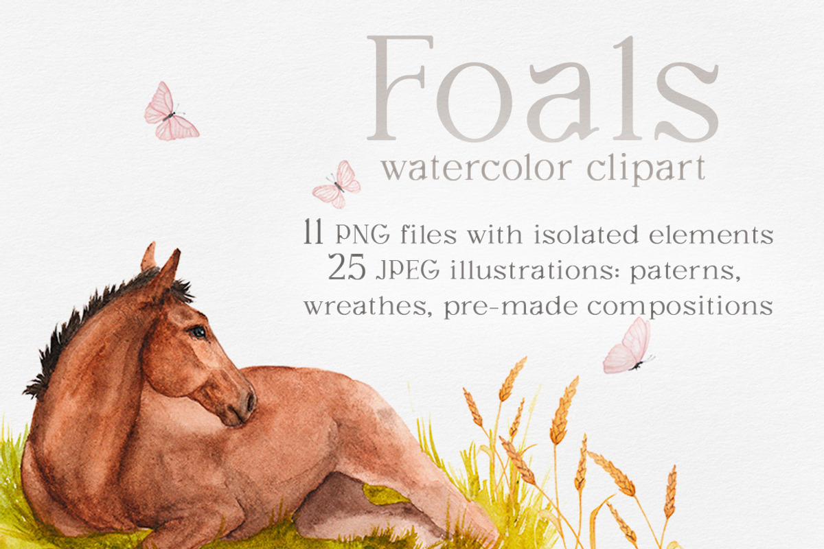 Foals Butterflies watercor clipart, an Illustration by FerroDakora (Photo 1 of 7)