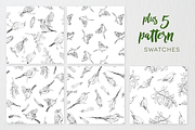 Birds of Africa Illustrations, a Decorative Illustration by CL Creative Studio (Thumbnail 12 of 14)