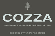 Cozza Letraset – now 9$, a Blackletter Font by Blazej Ostoja Lniski (Thumbnail 1 of 7)