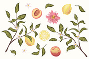 Fruit garden vector patterns, a Pattern Graphic by TaityG (Thumbnail 2 of 6)