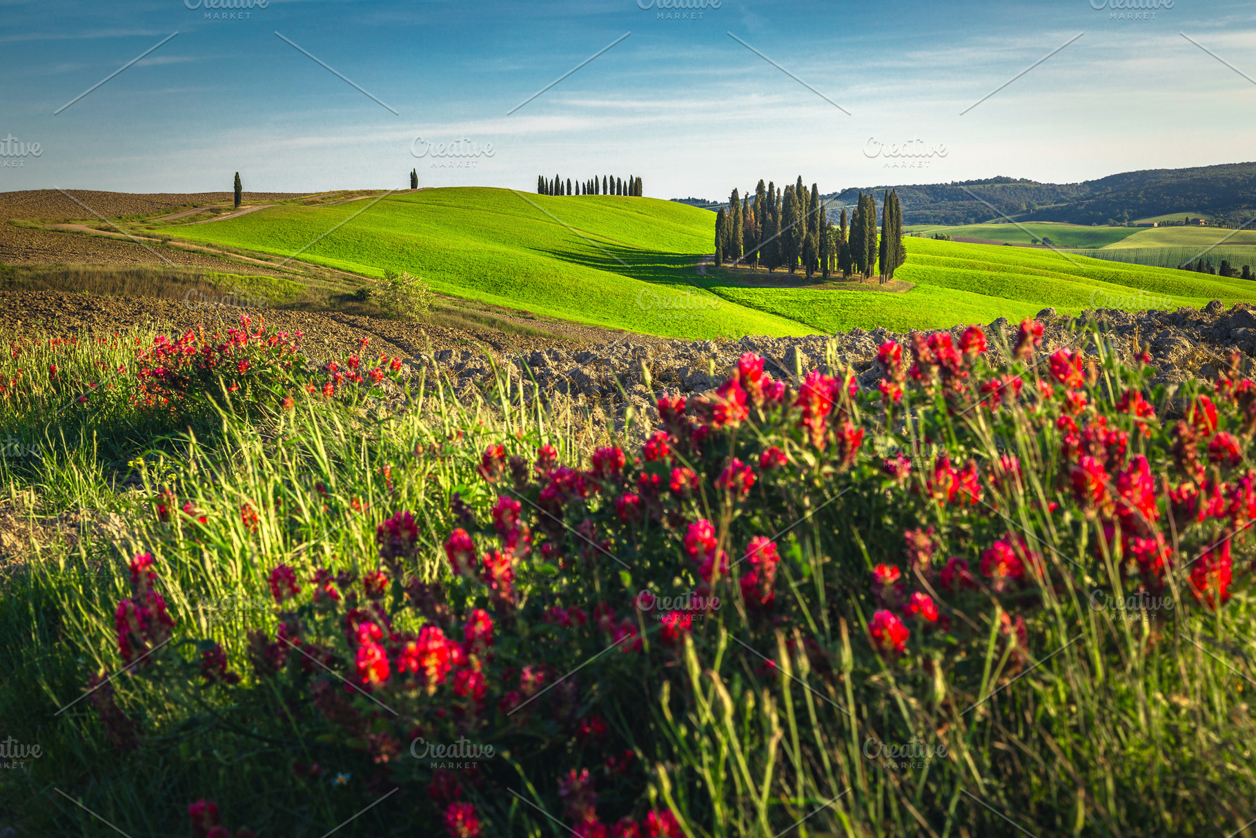 Admirable countryside summer scenery, a Nature Photo by Alpine Dreams