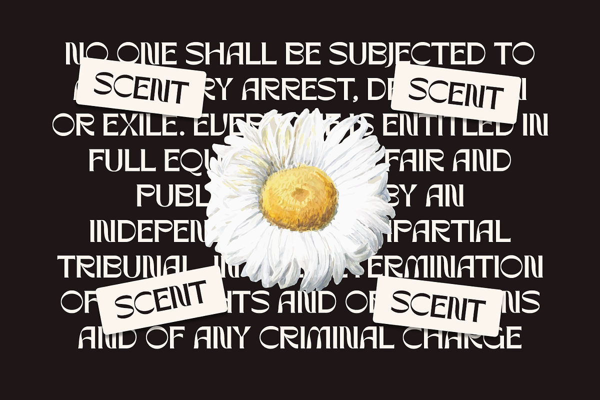 Rynogen - Decorative Typeface, a Sans Serif Font by Comactype Foundry (Photo 2 of 14)