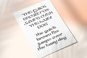 Agaste, a Serif Font by Letterara (Thumbnail 8 of 11)