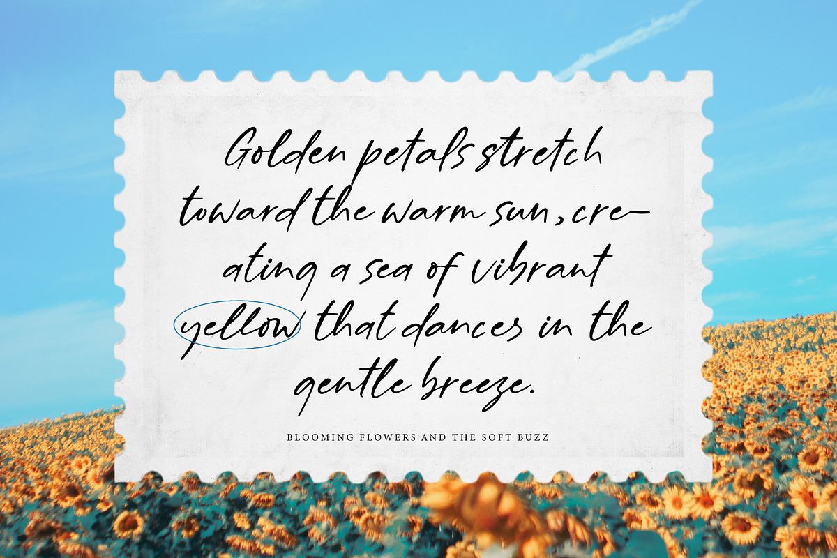 Billion Champagne Scattered Sticky, a Script Font by Letterena Studios Script (Photo 2 of 15)