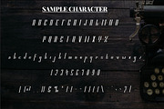 ELVINO, a Serif Font by PutraCetol Studio (Thumbnail 13 of 14)