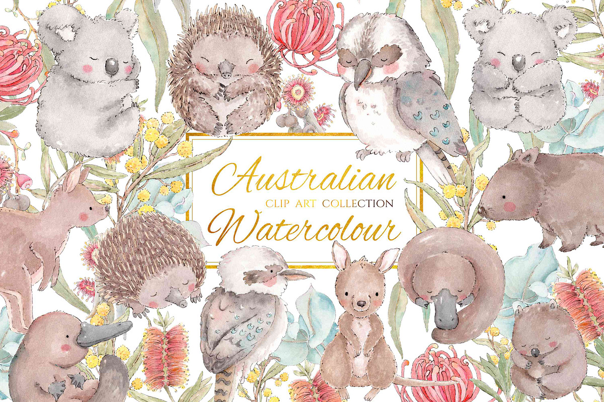 Australian Watercolour Animals, an Illustration by Jen Digital Art (Photo 1 of 4)