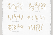 Botanical Elements Set 1, an Illustration by CojoMoxon (Thumbnail 2 of 9)