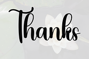 Bloomishly, a Handwritten Font by FreshTypeINK (Thumbnail 6 of 8)
