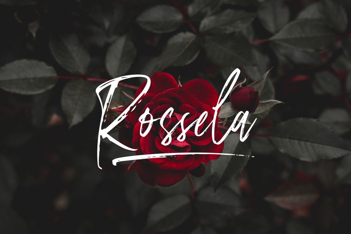 Amourist - Handwritten Font preview 6