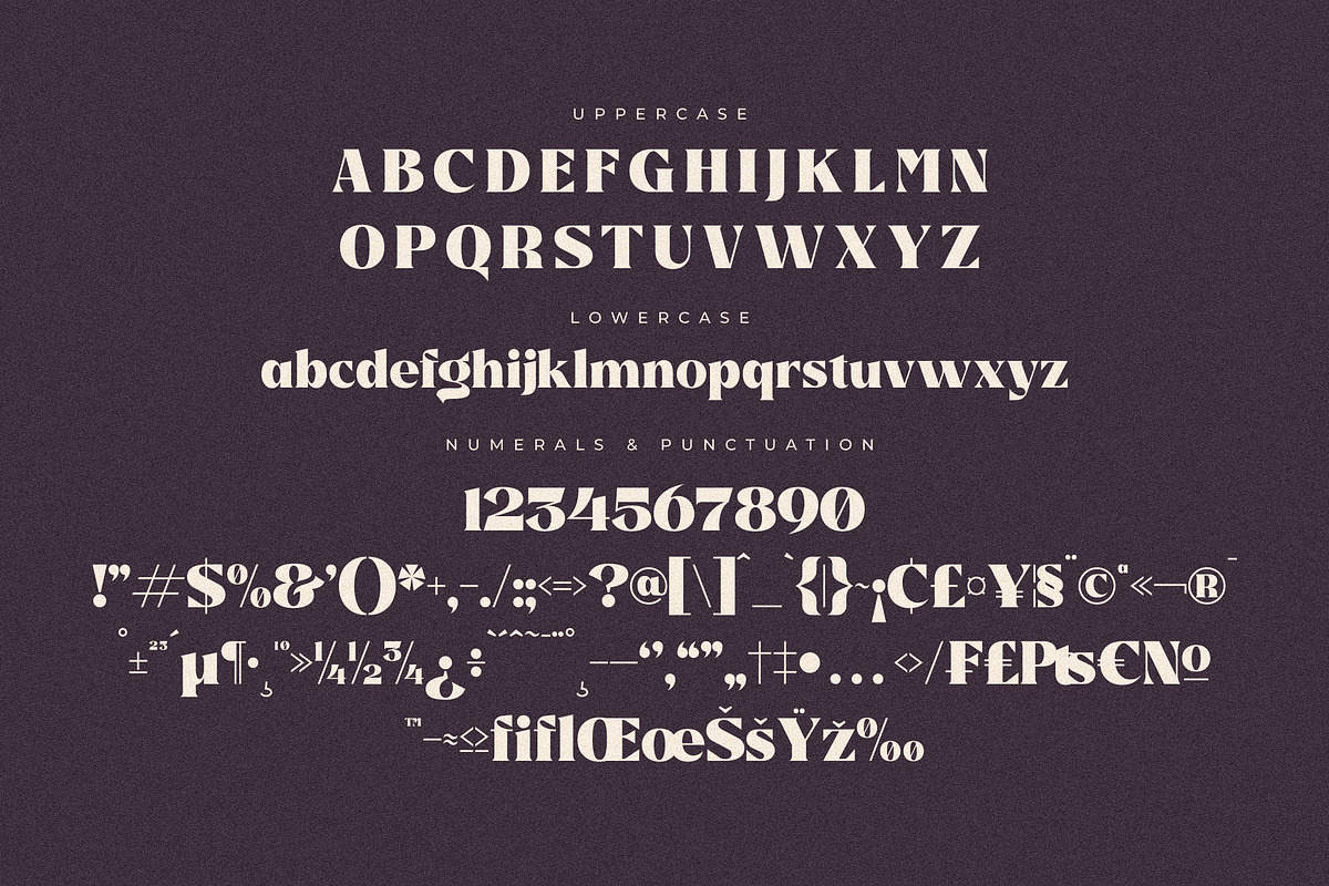 Suifak Bold Serif Font, a Serif Font by Storytype Studio (Photo 9 of 10)
