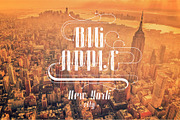 Roadster font family + Extras, a Script Font by Fontop (Thumbnail 10 of 26)