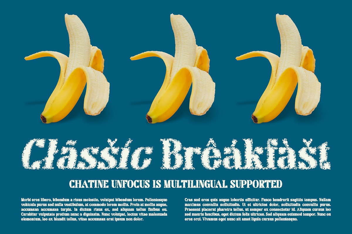 Chatine Unfocus, a Serif Font by Craft Supply Co. (Photo 5 of 8)