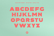 Felton Font, a Font by Crashtype Foundry (Thumbnail 3 of 4)