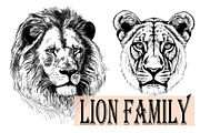 LION FAMILY set, an Animal Illustration by IPVector (Thumbnail 4 of 13)