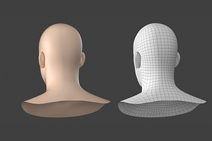 Natural Male Head 01 Generic Mesh