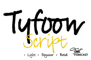 Tyfoon Script