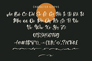 Packos, a Script Font by LetterStock (Thumbnail 6 of 6)